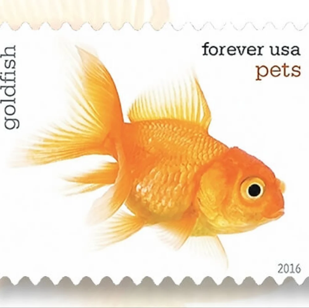 100 Pets 2016 Forever Postage Stamps Postal USPS Dog Cat Horse Bird Rabbit‎ Fish